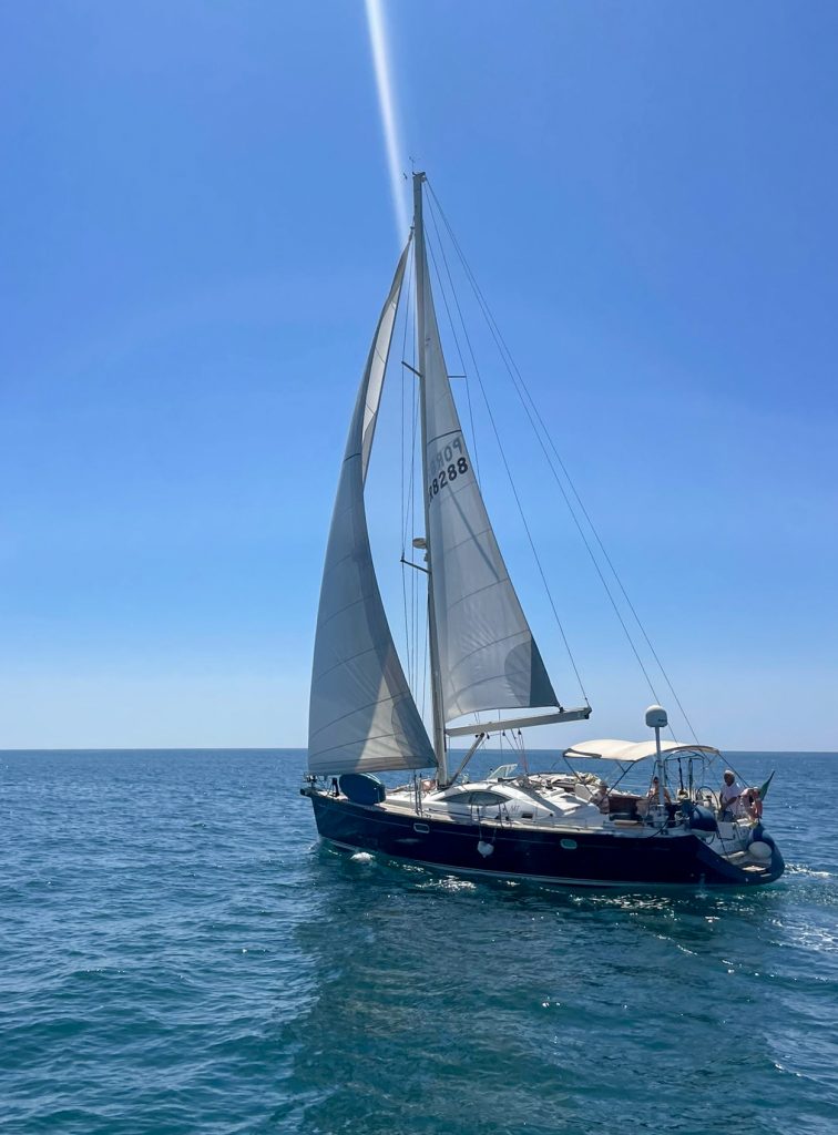 vontade-5