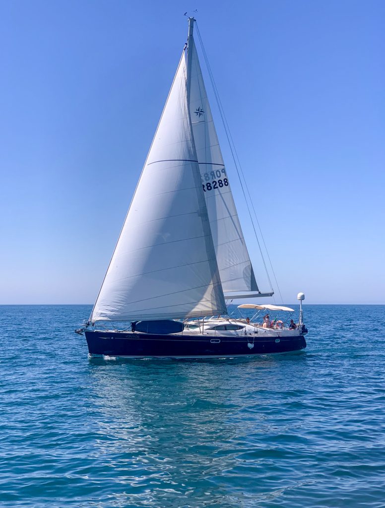 vontade-8